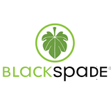 www.blackspade.com.tr — Underwear Referenz
